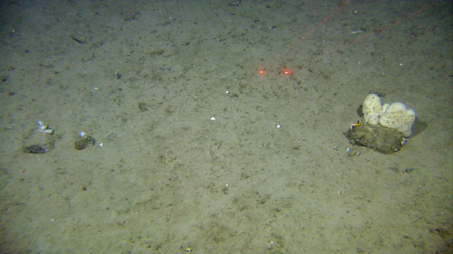 seabed images