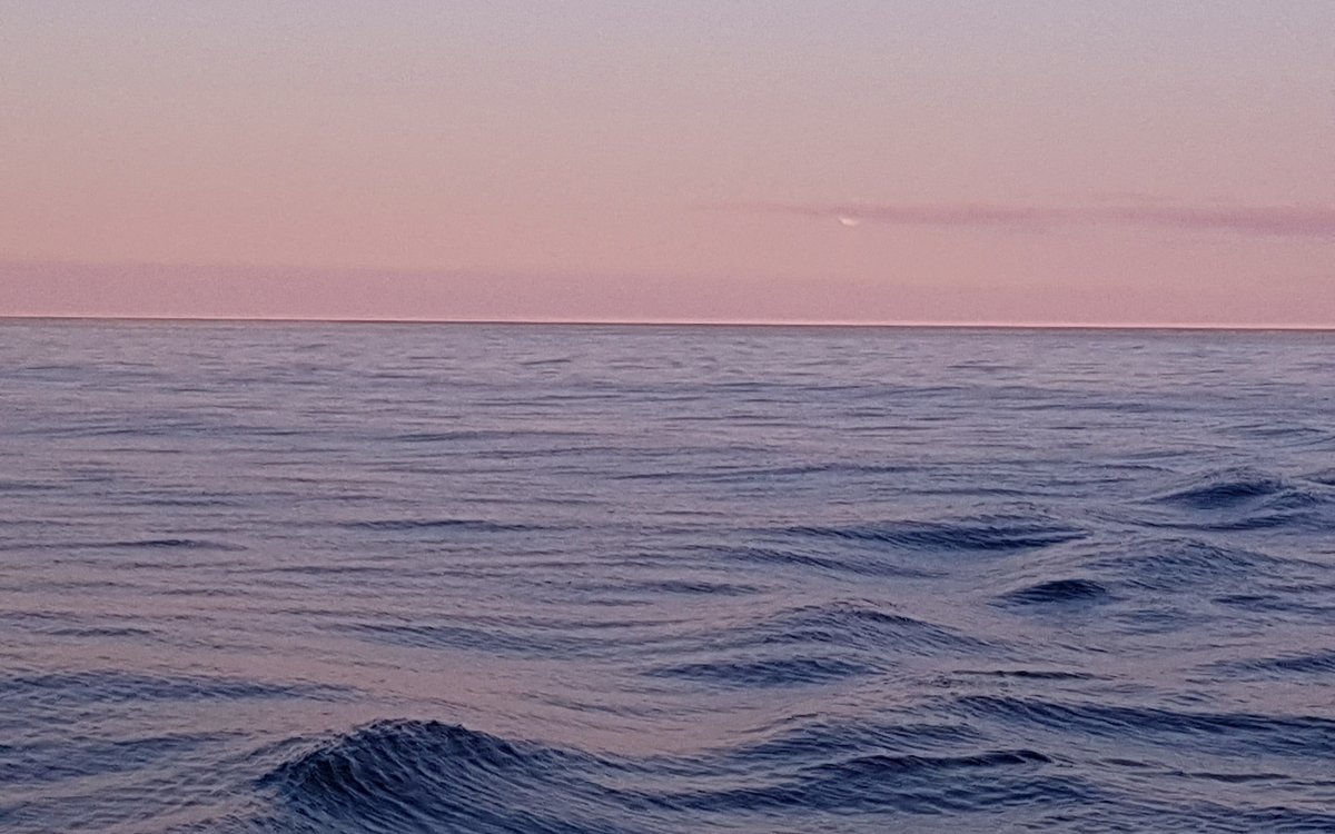 foto av hav mot horisont