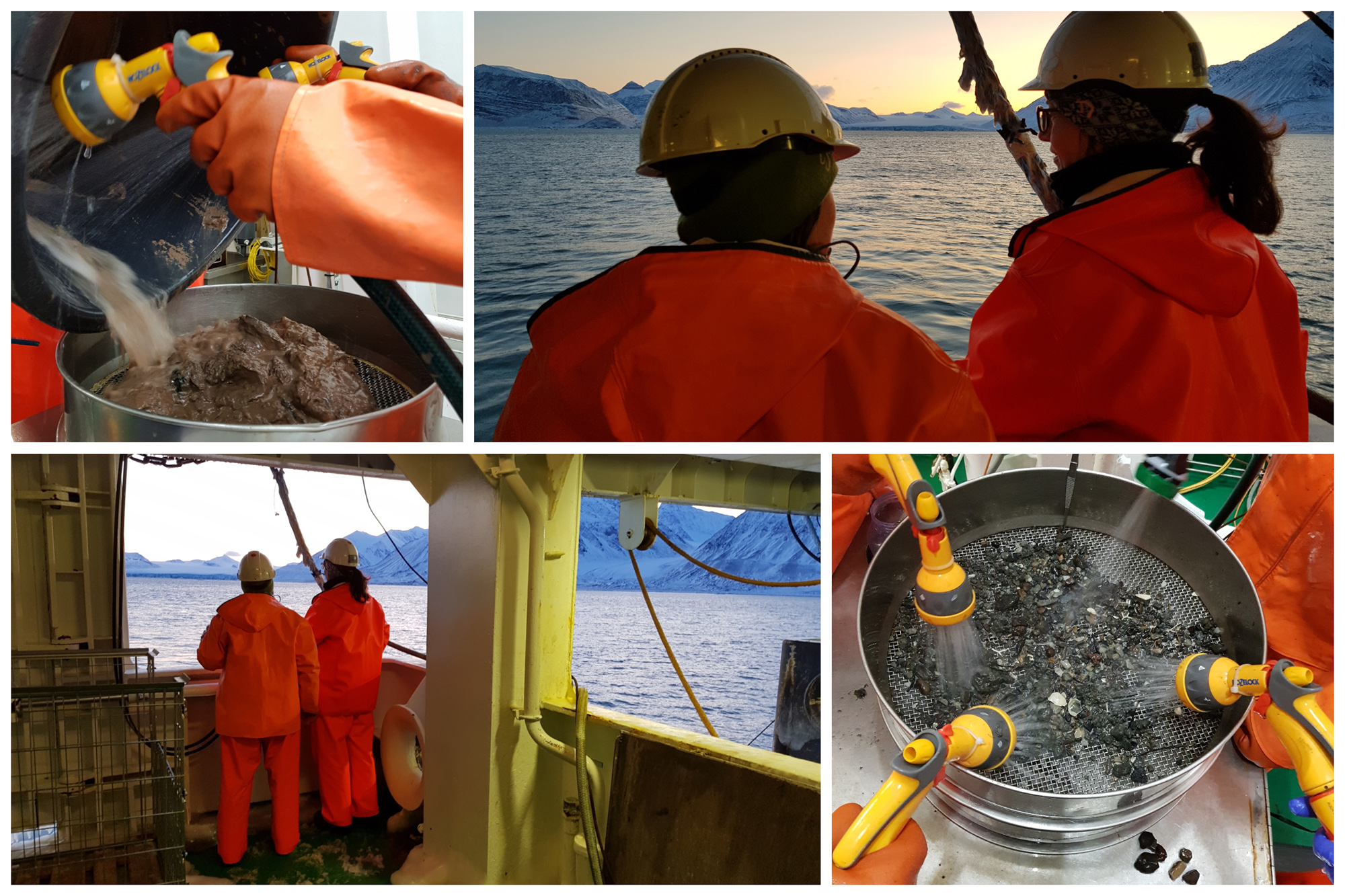 Her nyter prøvetakerne de siste solstrålene før mørketiden setter inn i Kongsfjorden, og vipps, så kommer dyrene opp med bomtrålen. Bilder: Lilja R. Bjarnadóttir