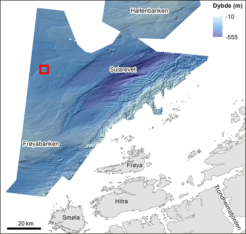 Detaljert terrengkart over bankene på Trøndelagskysten. Den røde firkanten viser kartutsnittet i figur 2. Dybdedata fra Kartverket/Mareano.