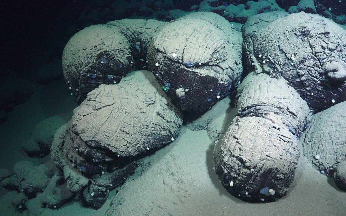 Center 20251005180724 