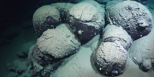 Center 20251005180724 