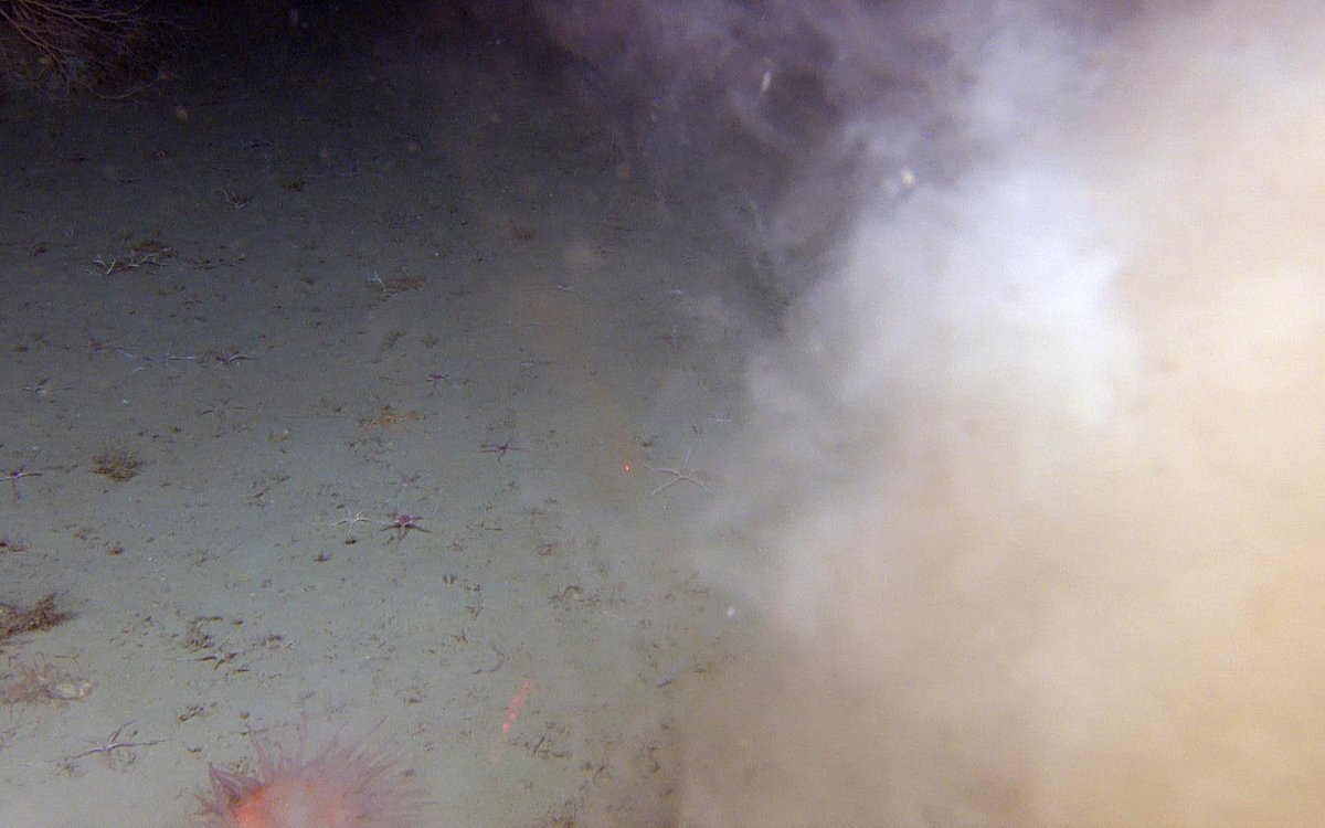 foto av skylignende effekt på havbunn