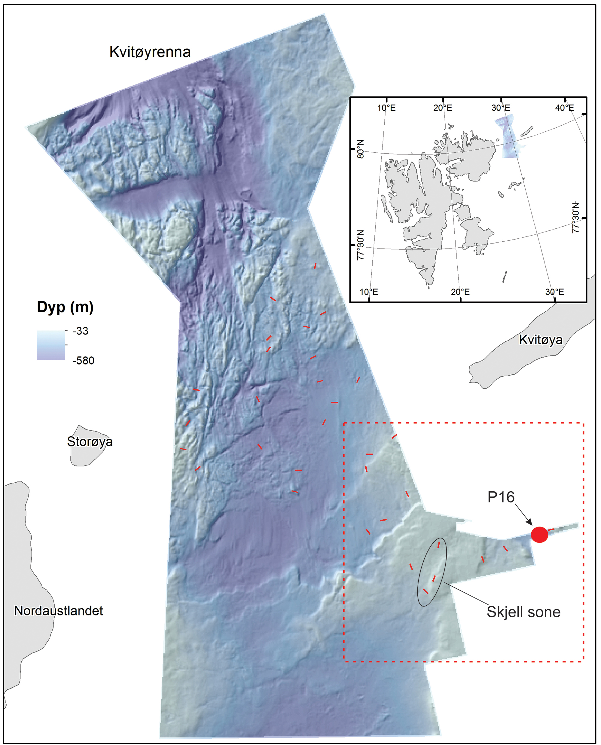 Kartet viser dybde og terreng i Kvitøyrenna. Øyene Nordaustlandet, Storøya og Kvitøya er merket inn. Firkanten i nedre høyre hjørne indikerer hvilket område denne saken beskriver. De røde strekene er prøvetakingsstasjoner. Den røde prikken merket P16 er en «fullstasjon» hvor bunnen blir prøvetatt med flere ulike redskaper. En sone med mye skjellgrus er ringet inn. Kart: Daniel Wiberg & Valérie Bellec
