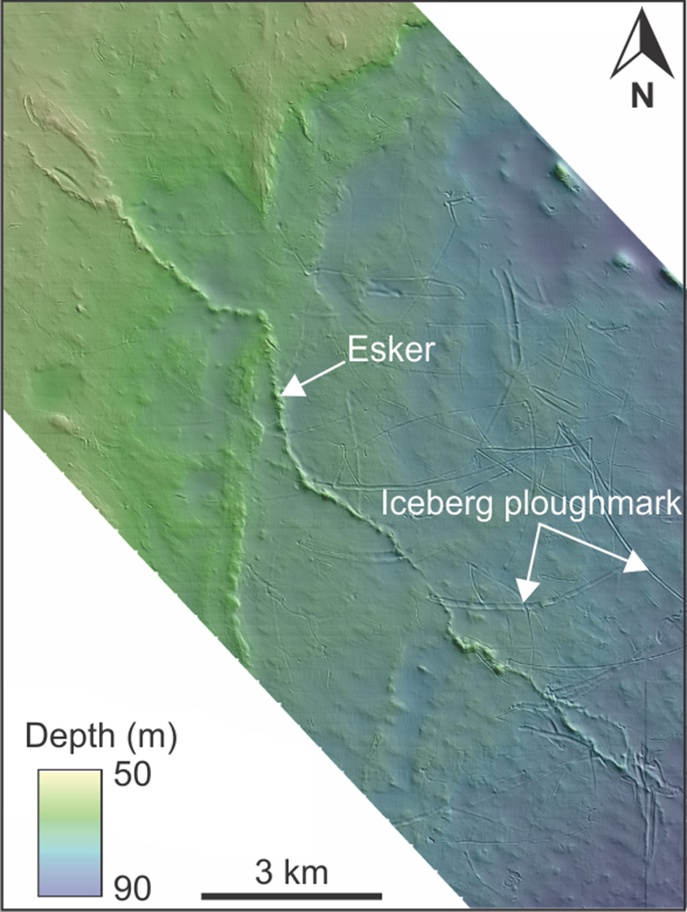 Figure 3: Shaded bathymetry map showing an esker and iceberg ploughmarks on Spitsbergenbanken. The esker is 17 kilometers long and up to eight meters high. 
