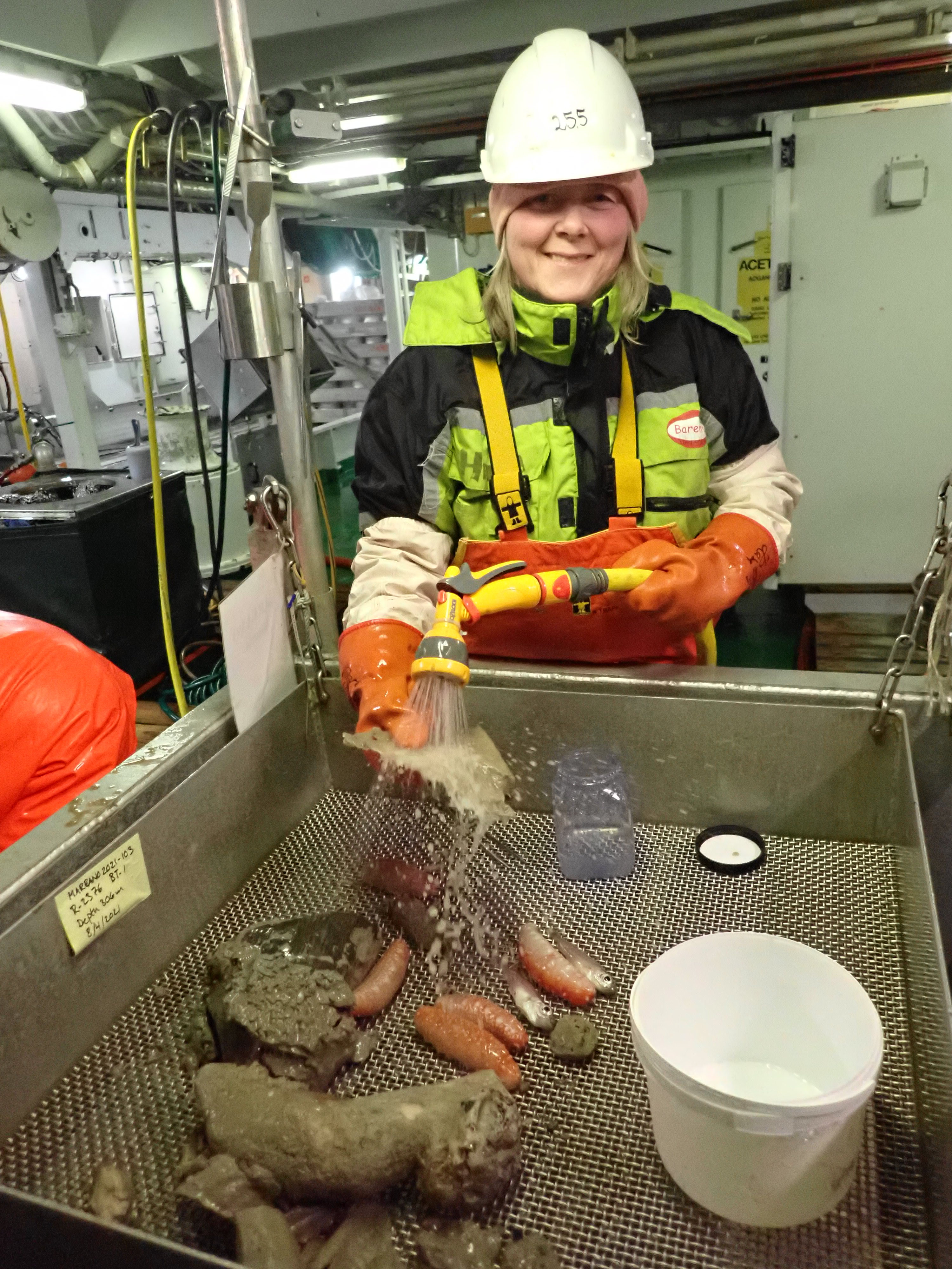 Her skyller Heidi noen store dyr (svamp, sjøpølser og fisk) fra bomtrålen.