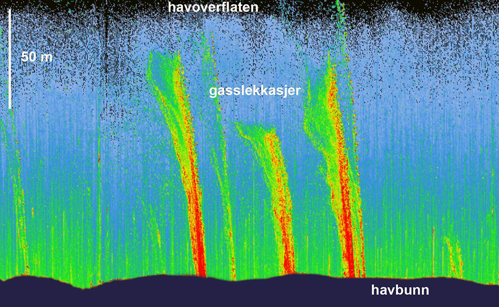 tverrsnitt av gasslekasjer 