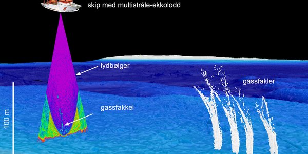Gassoppkommer norsk