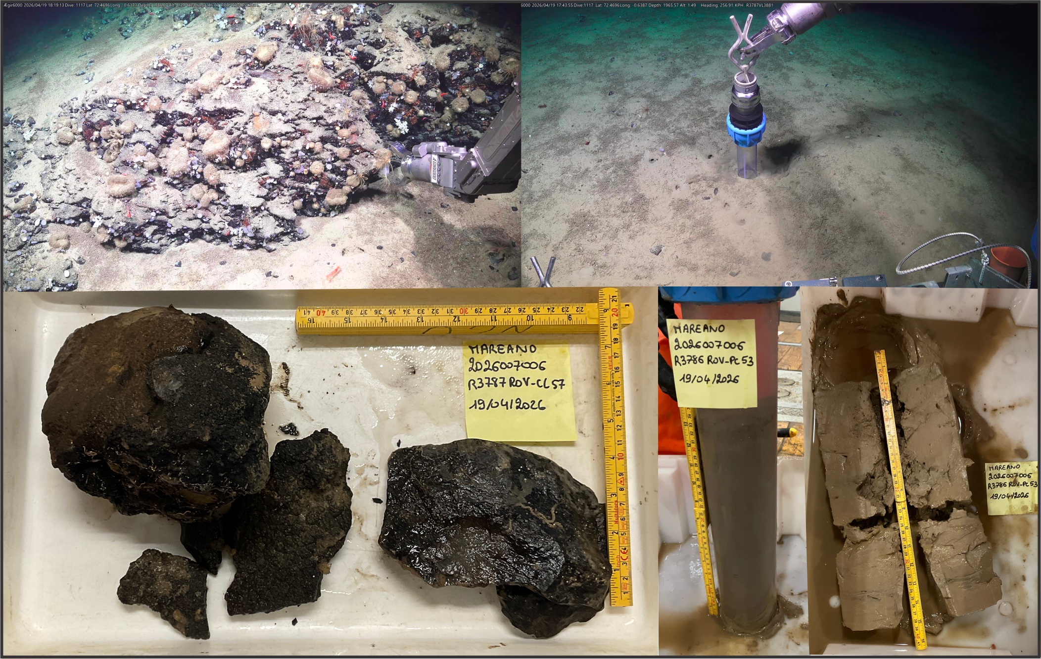 Steiner og leire fra havbunnen. To blir hentet opp fra havbunnen, mens to andre ligger ved siden av en tommestokk. 