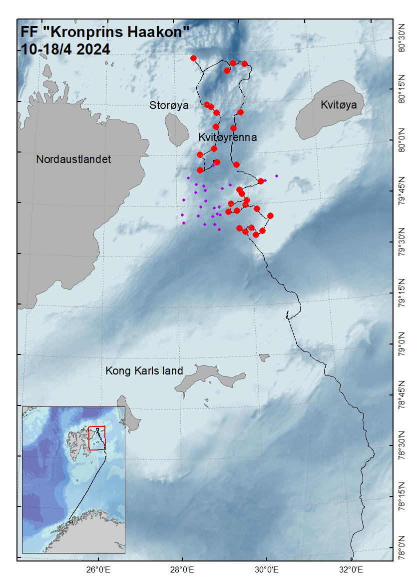 Høyt kart som viser kvitøyrenna mellom kvitøya, nordaustlandet og storøya