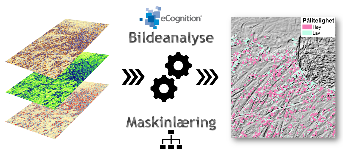 Klassifiseringen av sannsynlige forekomster av korallrev gjøres ved at dybdedata bearbeides og analyseres vha. avansert statistikk og bildeanalyse (maskinlæring).