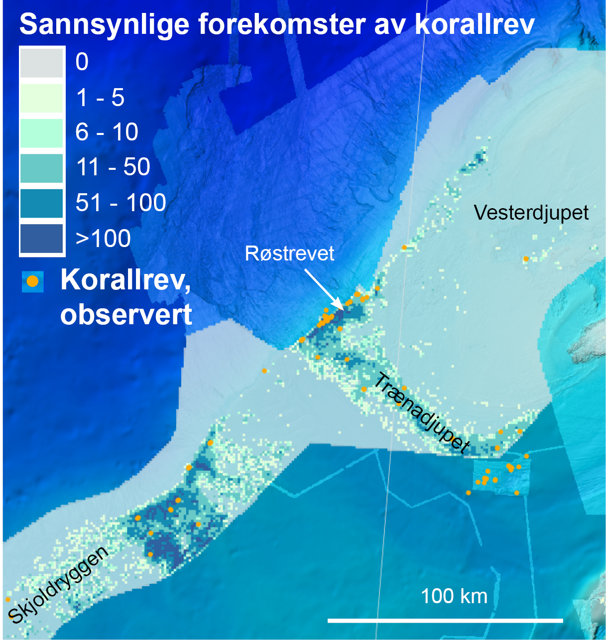 Antall sannsynlige forekomster av korallrev pr. kvadratkilometer i området Skjoldryggen-Røstrevet-Vesterdjupet. Totalt er det klassifisert nesten 140 000 sannsynlige forekomster av korallrev i området som er analysert (ca. 21 900 km2). Bekreftede korallrev (video eller andre metoder) er under 100. 