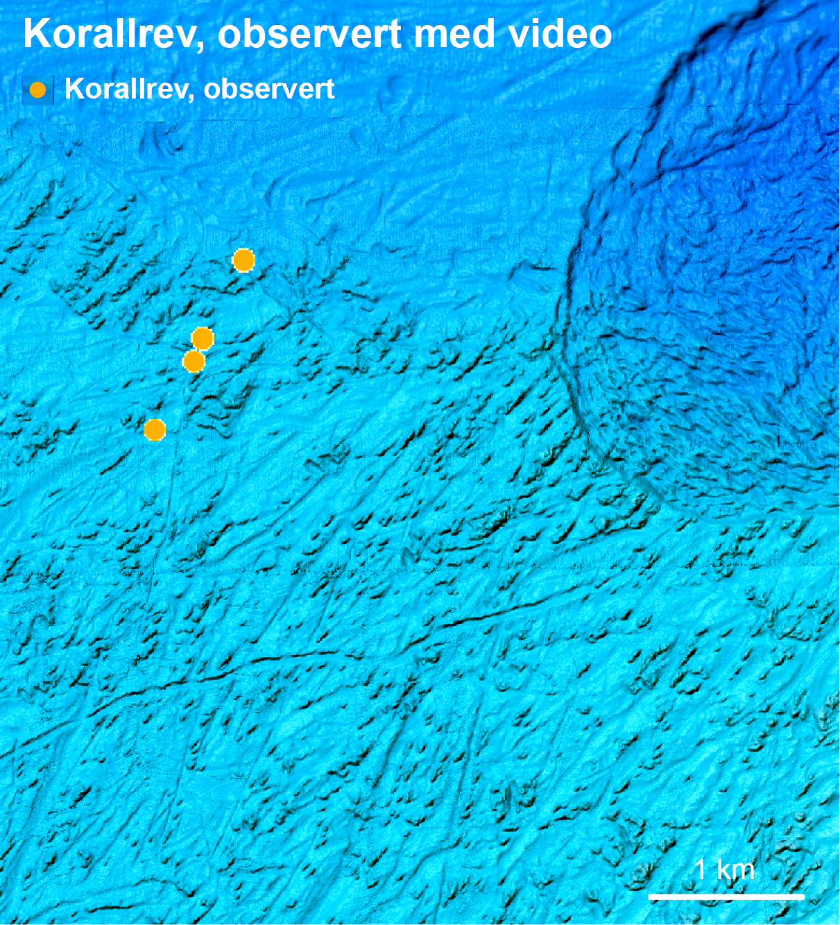 Fire observerte korallrev til venstre, mens de sannsynlige forekomstene av korallrev til høyre er beregnet til 1011 rev. Illustrasjonen er hentet fra Aktivneset vest av Ålesund.