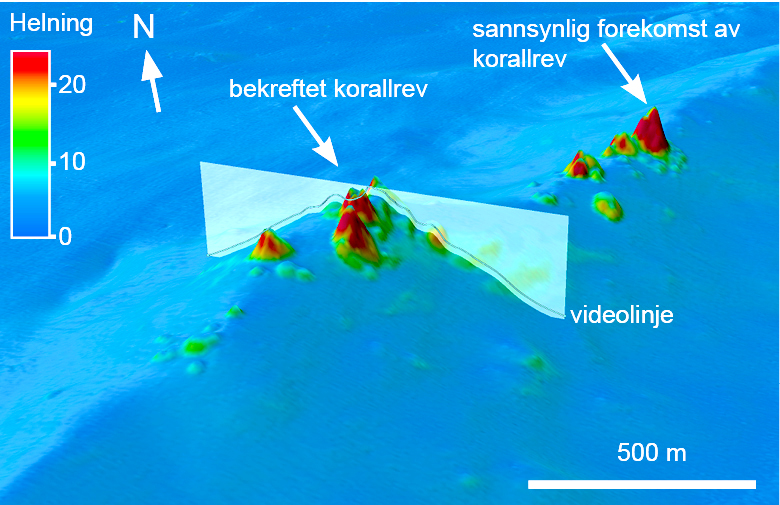 En terrengmodell i 3D viser et korallrev i forgrunnen som er bekreftet med en video-observasjon. En sannsynlig forekomst av korallrev ser vi i bakgrunnen.