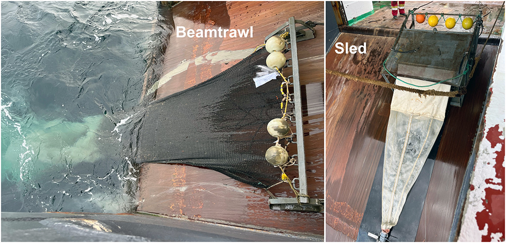 Beamtrawl (left) and a hyperbenthic sled (right) are towed along the seabed over a standardised distance.