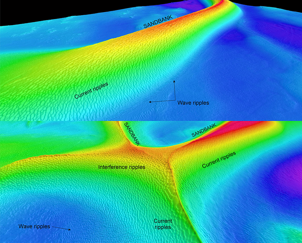 Current ripples are typically irregular, showing various shapes and dimensions. The upper panel shows large ripples on a 10 m high sandbank, whereas the lower figure shows interference ripples and unidirectional current ripples on top of two crossing sandbanks. The sandbanks are up to 10 m high. Note the parallel wave ripples at the foot of the sandbank. The depth varies form 25 m (red) to 42 m (violet) in the upper panel, and 32 m (red) to 45 m (violet) in the lower panel. Bathymetry data from MAREANO/Kartverket.