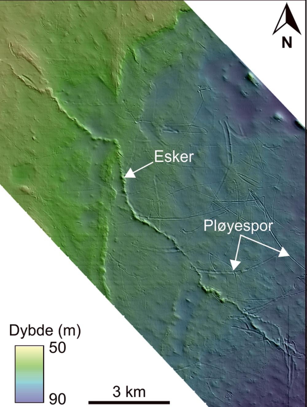 Figur 3: Dybdekart som viser en esker og pløyespor etter isfjell på Spitsbergenbanken. Eskeren her er 17 kilometer lang og opptil åtte meter høy på det høyeste. 