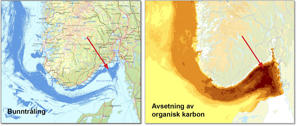 Kart over bunntråling og avsetning av organisk karbon.