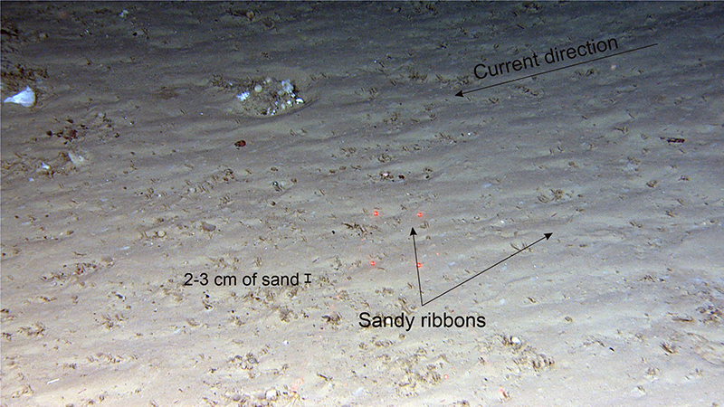 Sandy ribbons at about 500 m depth