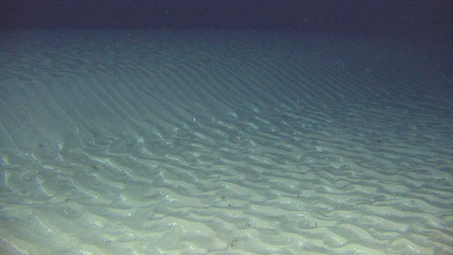 Bølgete sand på havbunnen.