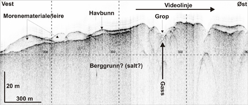 tverssnitt, seismisk linje