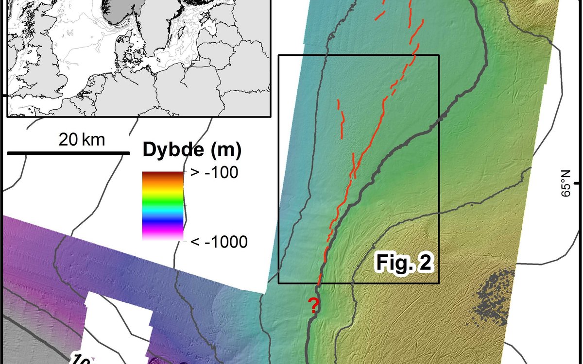 Fig1 NO