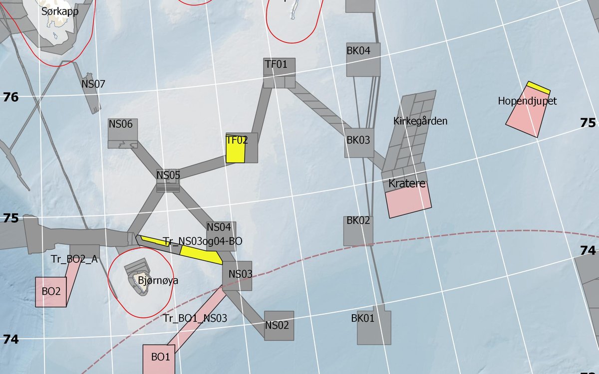 Kartutsnitt fra Barentshavet hvor områder som Mareano-programmet har planlagt å dybdekartlegge i 2021, er markert. Kilde: Mareano/Kartverket