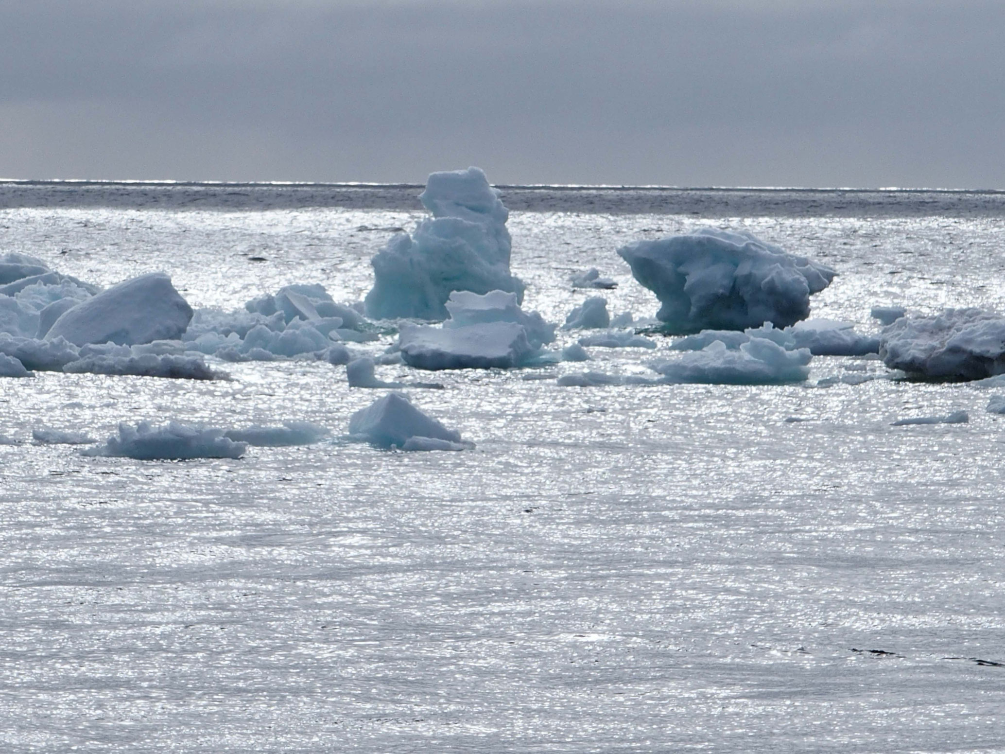 Små isfjell som driver rundt på hav.