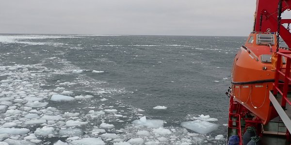 Utsikt til flytande sjøis på Spistbergenbanken frå fartøyet H. U. Sverdrup II. Foto: FFI