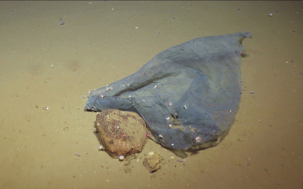 Bilde av sandbunn som er delvis dekket av plast.