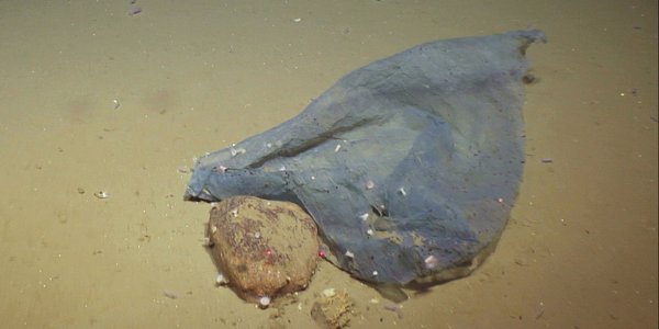 Bilde av sandbunn som er delvis dekket av plast.