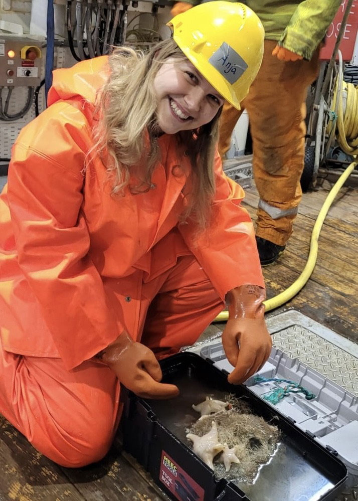 En person i regntøy og med hansker sitter på kne og undersøker noe som ser ut som sjøstjerner.