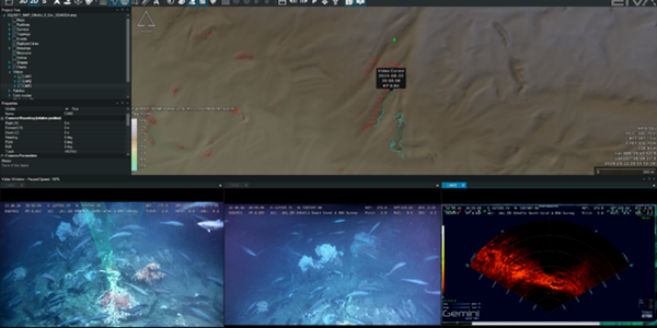 Skjermdump som viser et Navimodel-prosjekt satt opp i et visningsprogram.