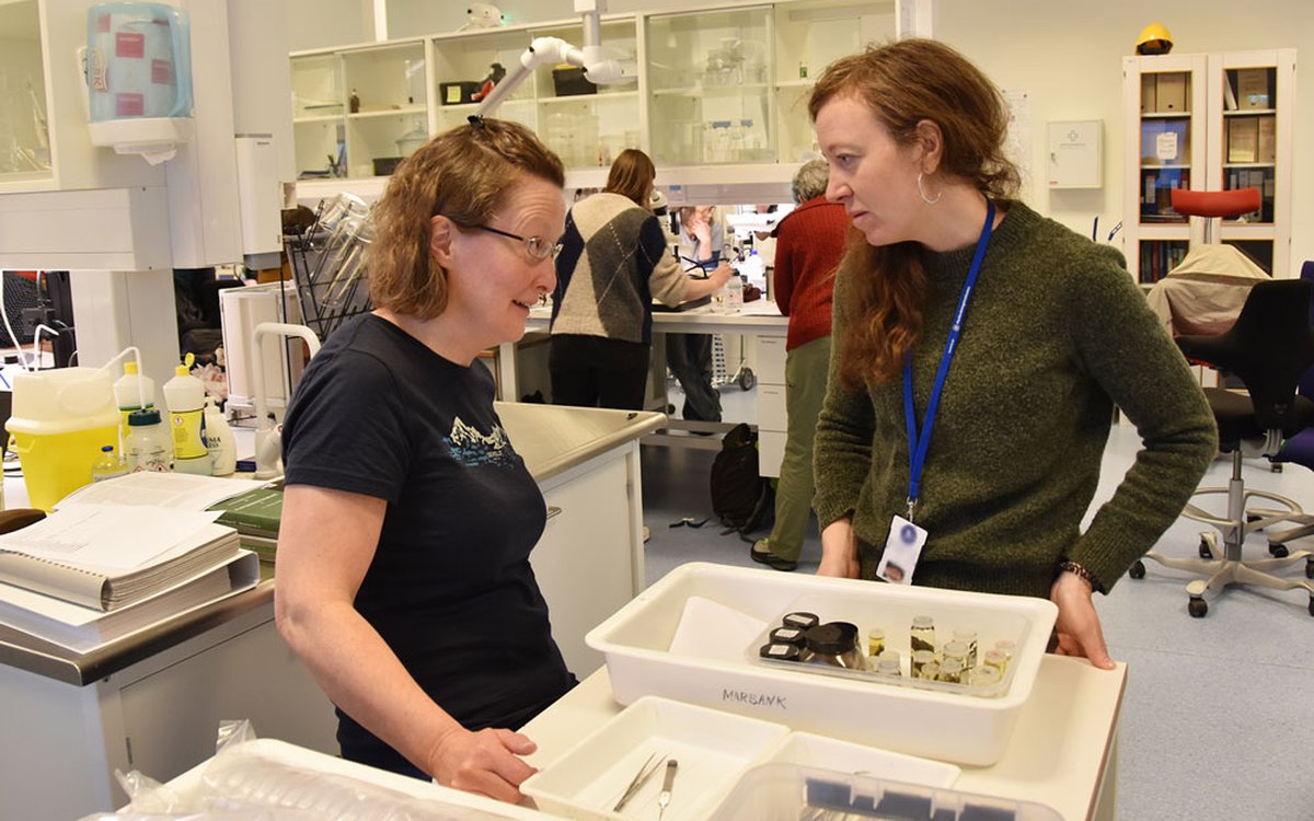 To kvinner står og snakker sammen. Mellom seg har deen boks med ulike prøveglass. I bakgrunnen er flere personer opptatt med å studere ulike prøver. Bildet er tatt på et laboratorium.