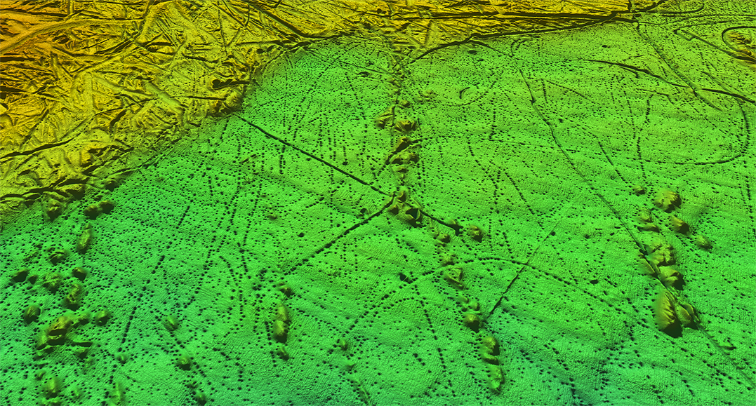 Grønt skuggerelieff av havbotnen basert på terrengmodell med oppløysning på fem meter mellom djupnepunkta. Bilete.