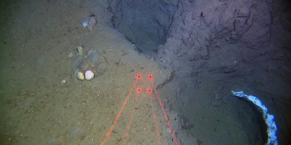 underwater photo of seabed with laser marks