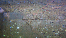 Eksempel på lagdelte finkornige sedimenter på rundt 900 m dyp. Dette kan muligens være sedimenter fra Tertiærtiden. Avstanden mellom de to røde laserprikkene er 10 cm.