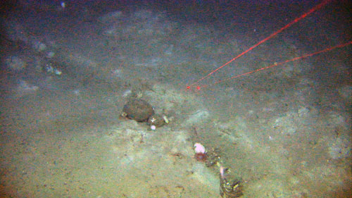 Et trålspor på rundt 300 m dyp på sokkelen ved Eggakanten i nord.
