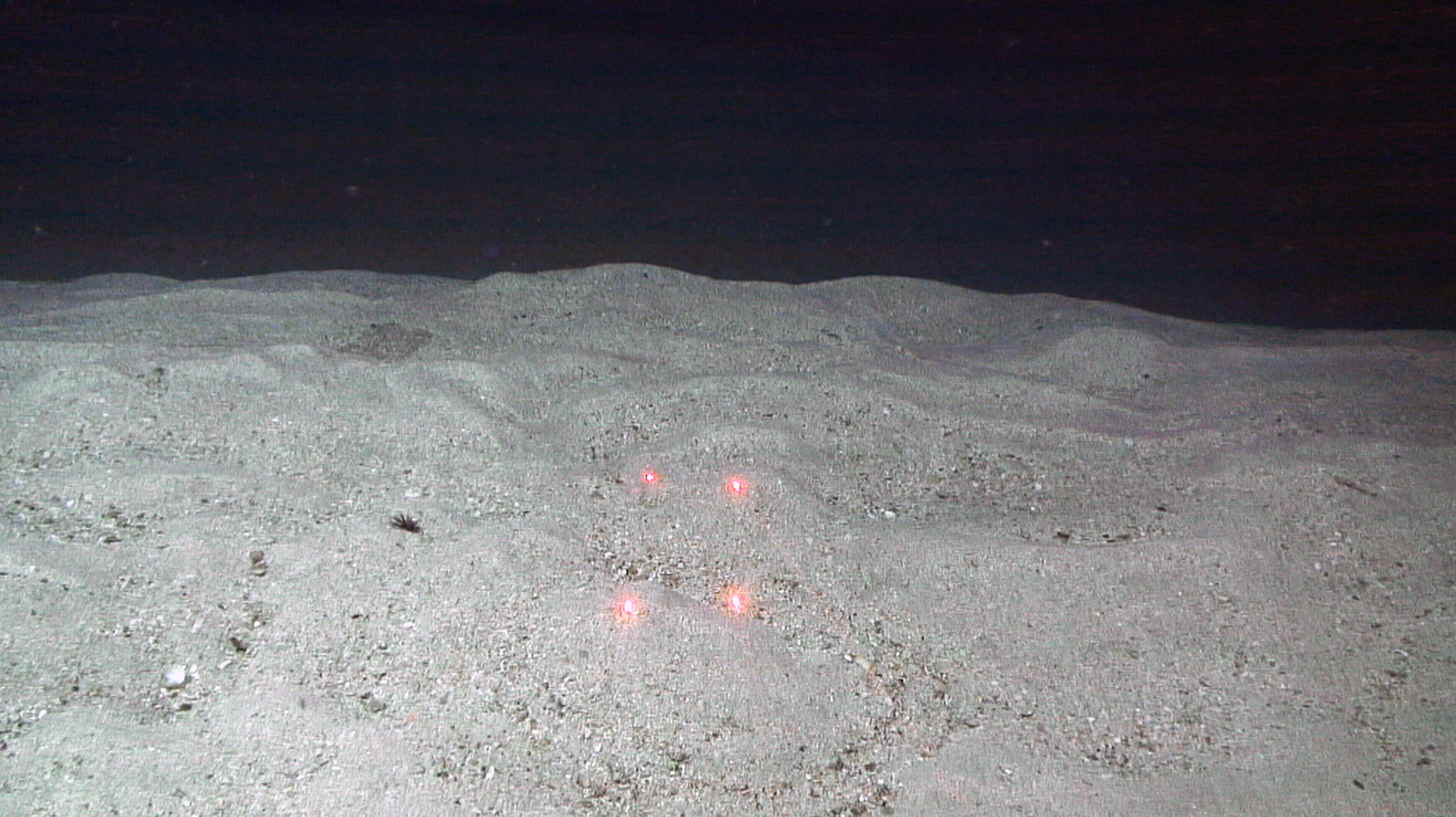 Skjellsand utenfor Knivskjelodden, Finnmark.