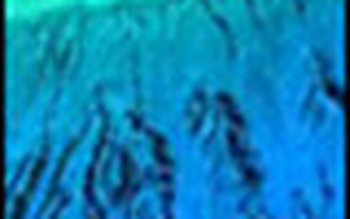 page thumb 8787