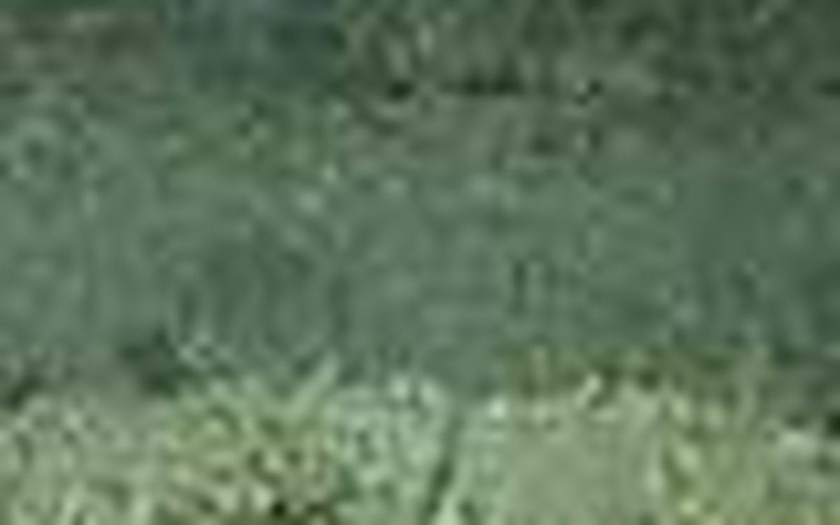 page thumb 8823