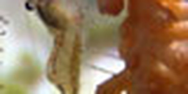 page thumb 9291