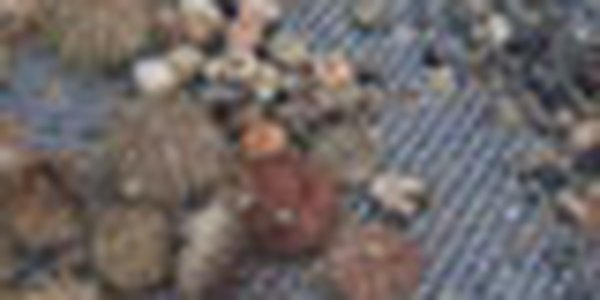 page thumb 9374