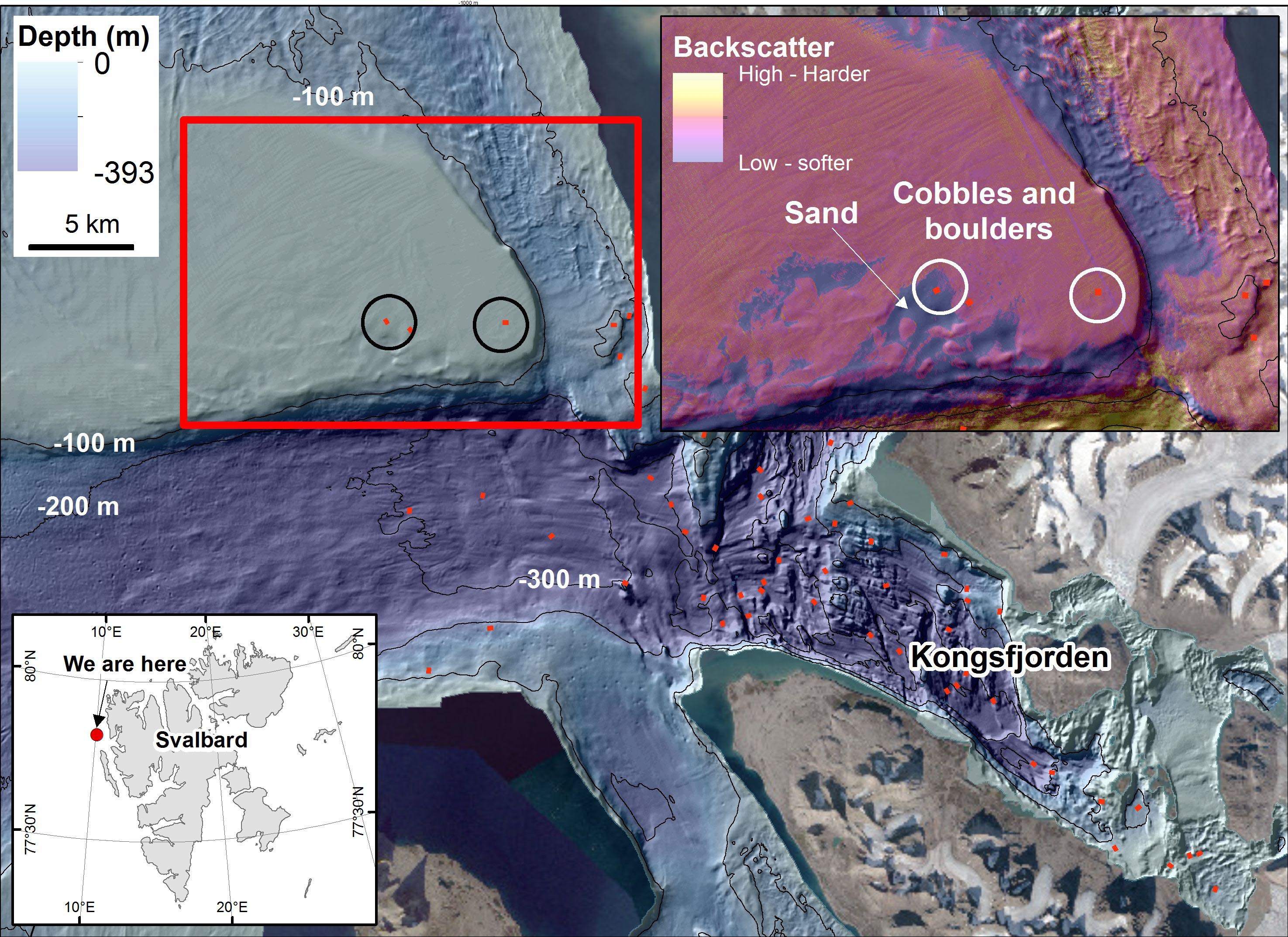 Dybdekart fra Kongsfjorden og kontinentalsokkelen utenfor munningen av fjorden. De svart-hvite sirklene viser videotransekter omtalt i denne saken (Bildene 3 og 4). Høyre øvre detaljbilde: Bunnreflektivitetskart (rødt rektangel på dybdekart indikerer plassering) der lave verdier tilsvarer sandholdige havbunnssedimenter og høye verdier tilsvarer områder med steiner og steinblokker. (Kart: MAREANO/NGU; Batymetri: MAREANO/Kartverket; Sentinel satelittbilder, fått fra Norsk Polarinstitutt).
